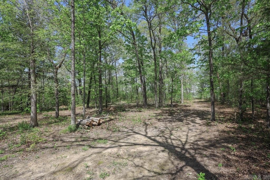 Picture 18