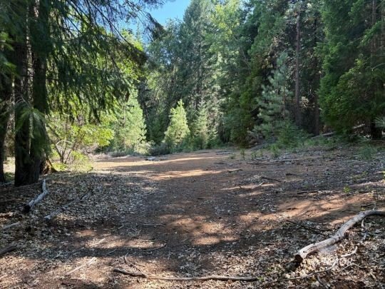 Undeveloped Land Near Lake Siskiyou