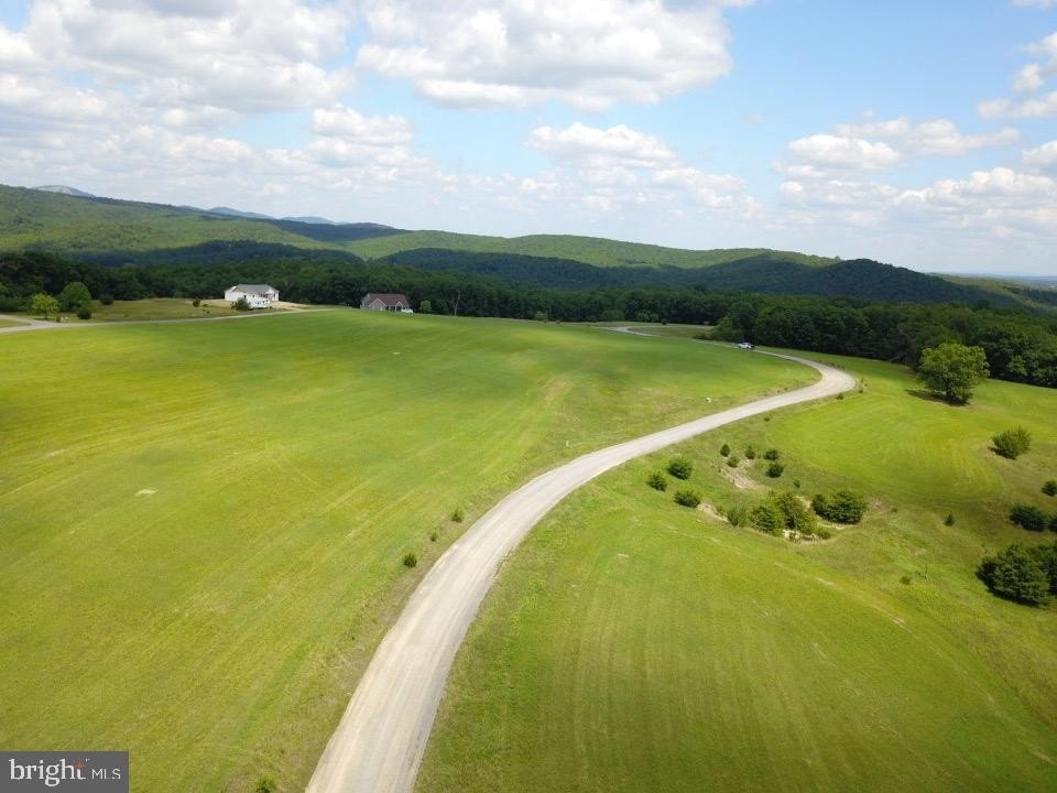 Picture 6