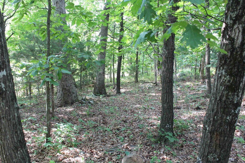 Picture 33