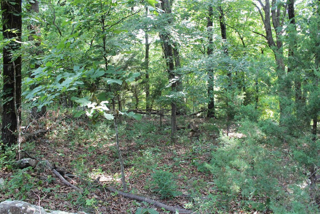 Picture 32