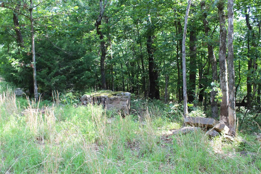 Picture 13