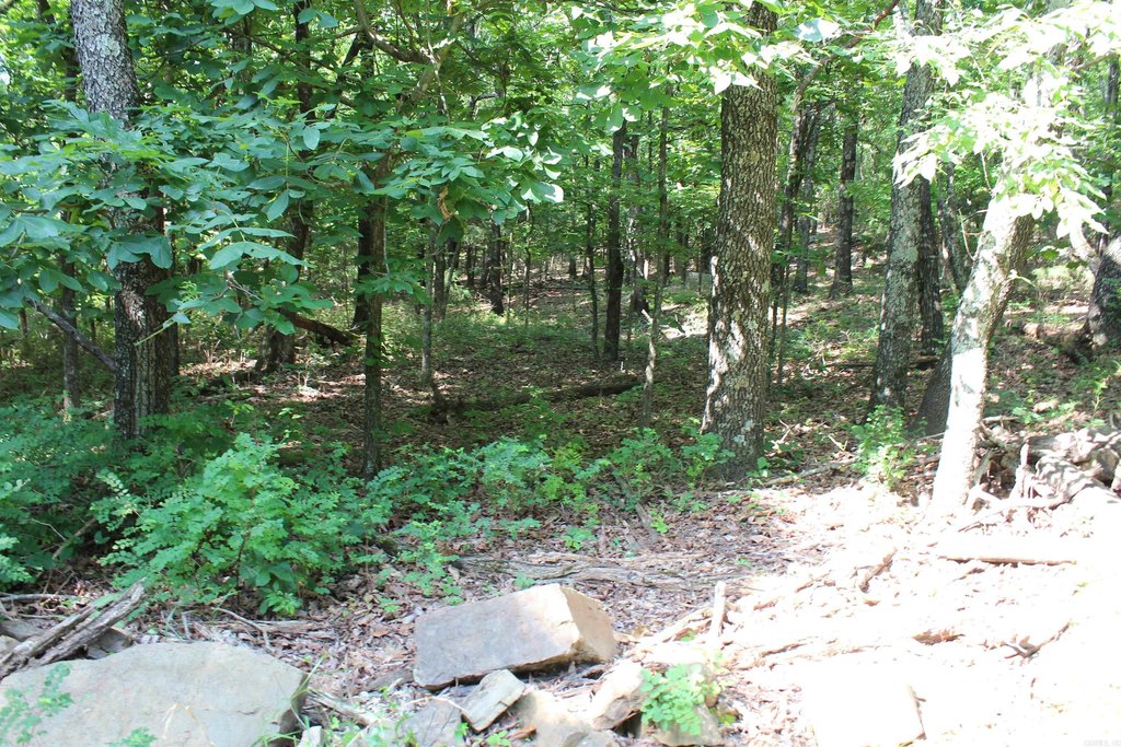 Picture 12