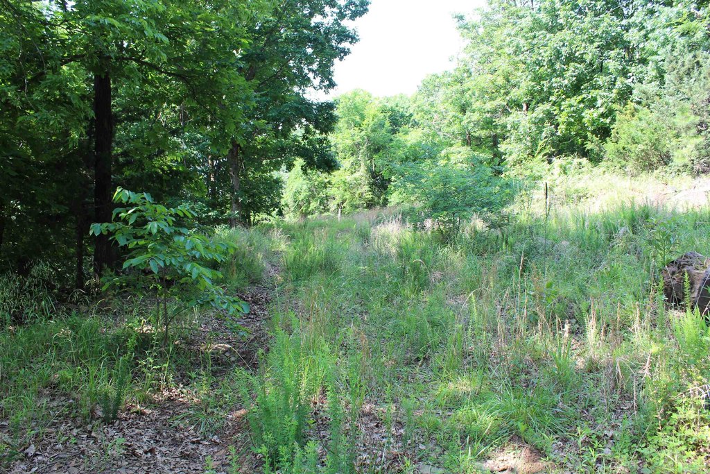 Picture 9