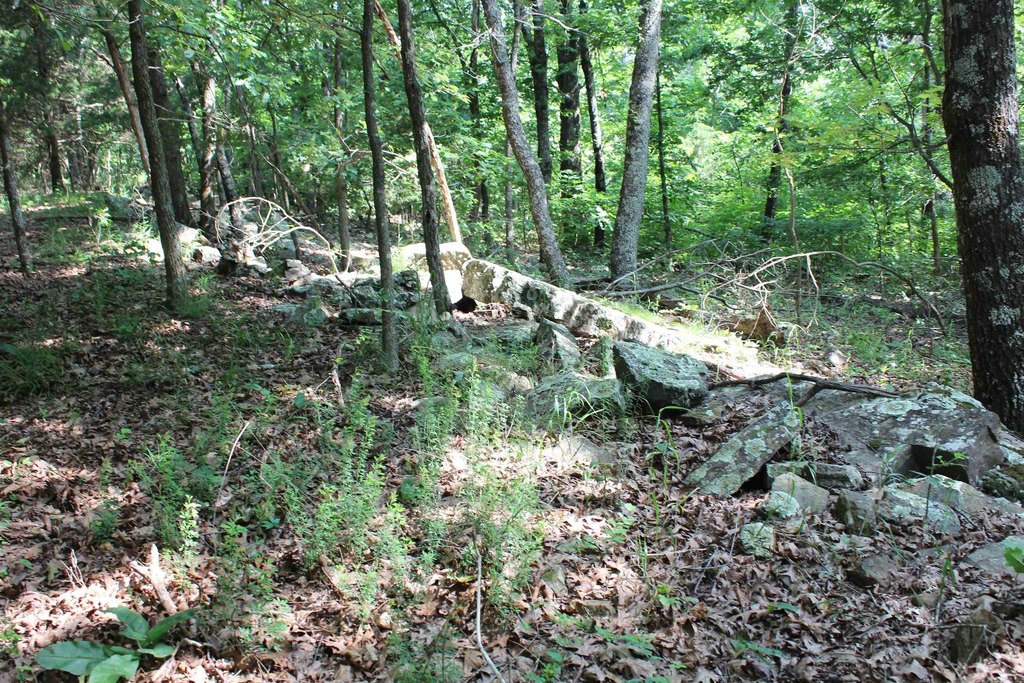 Picture 22