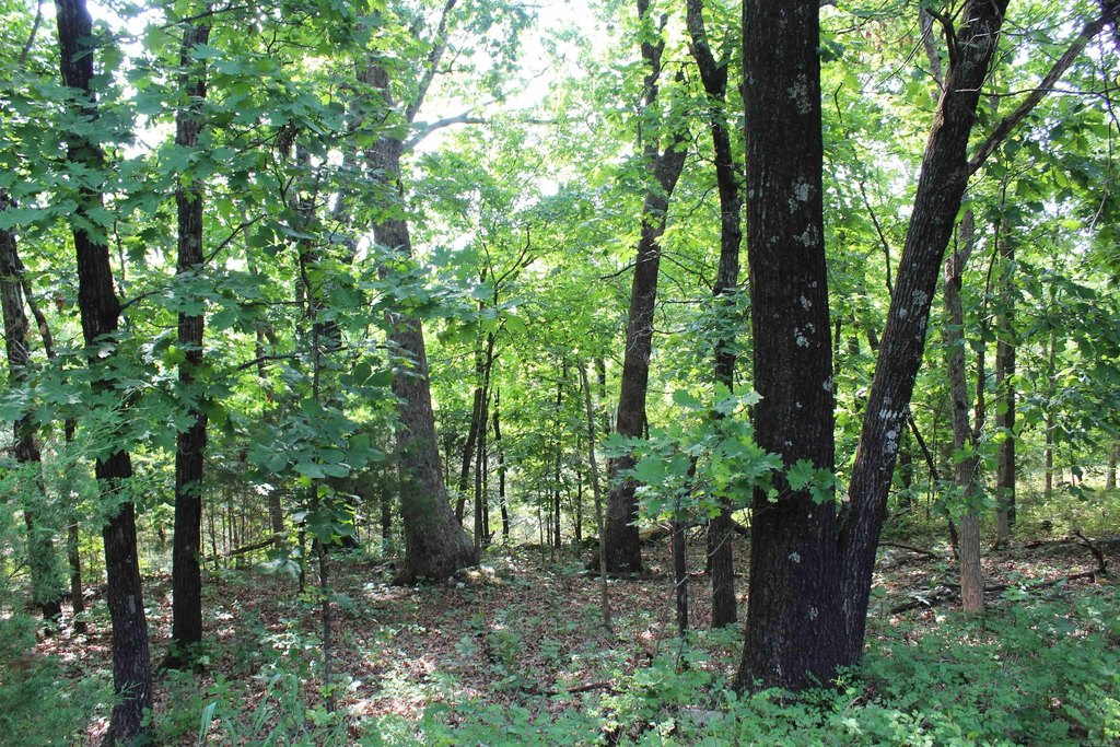Picture 31