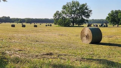 117 Acres of Rogers County Land
