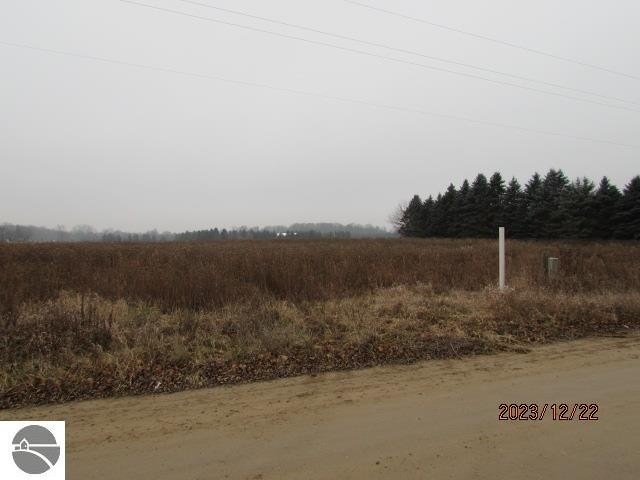 Picture 4