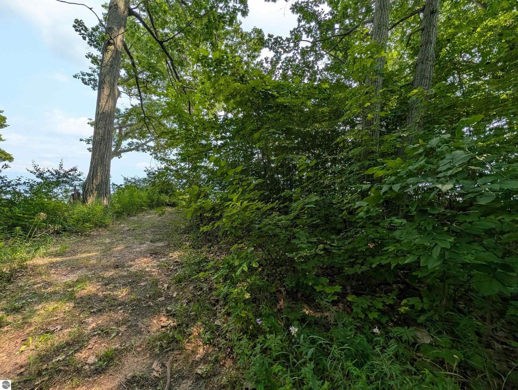 Picture 15