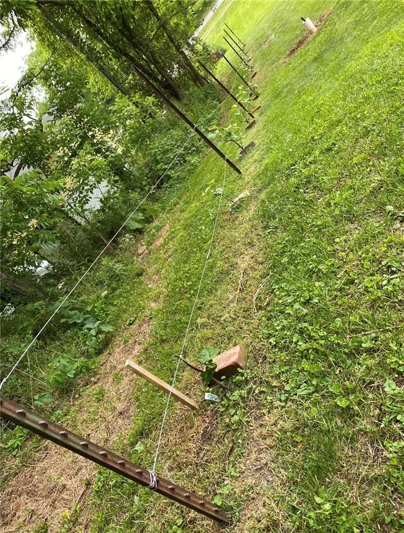 Picture 6