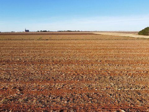 Land, Ropesville, TX