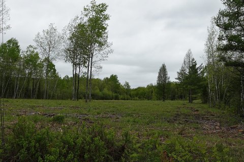 Commercial Land in Wilton, Maine