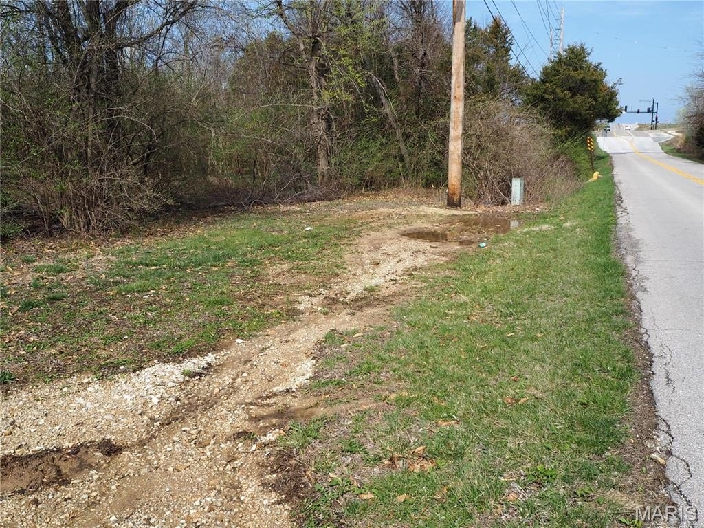 Picture 6