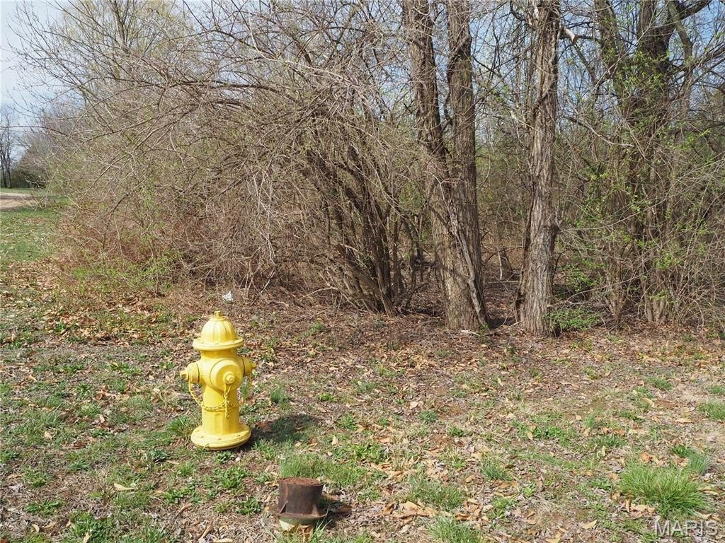 Picture 7
