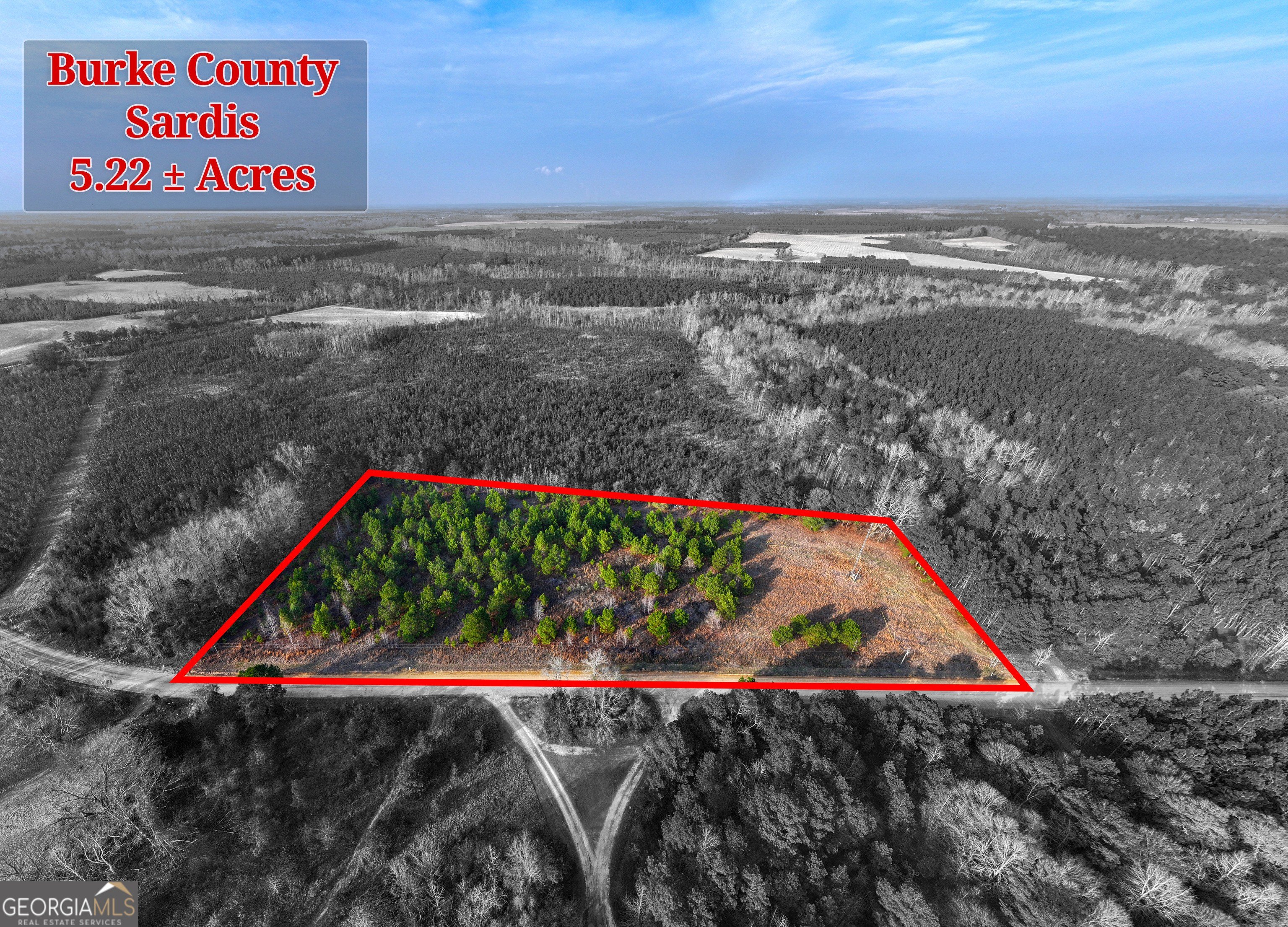 Land in Sardis, Georgia