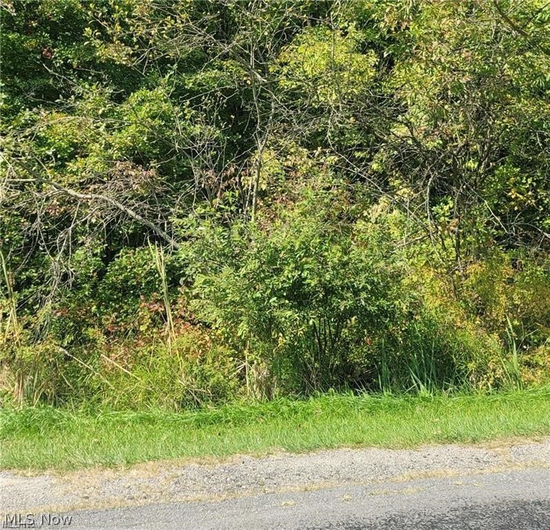 Land For Sale Atwater, OH