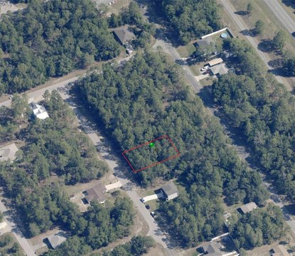 Citrus Springs Wooded Lot