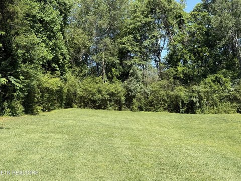 Residential Homesite with Privacy