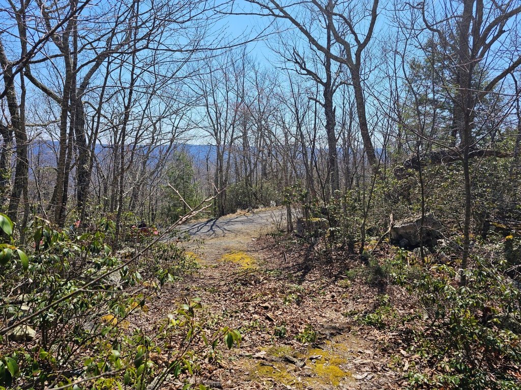 Picture 2