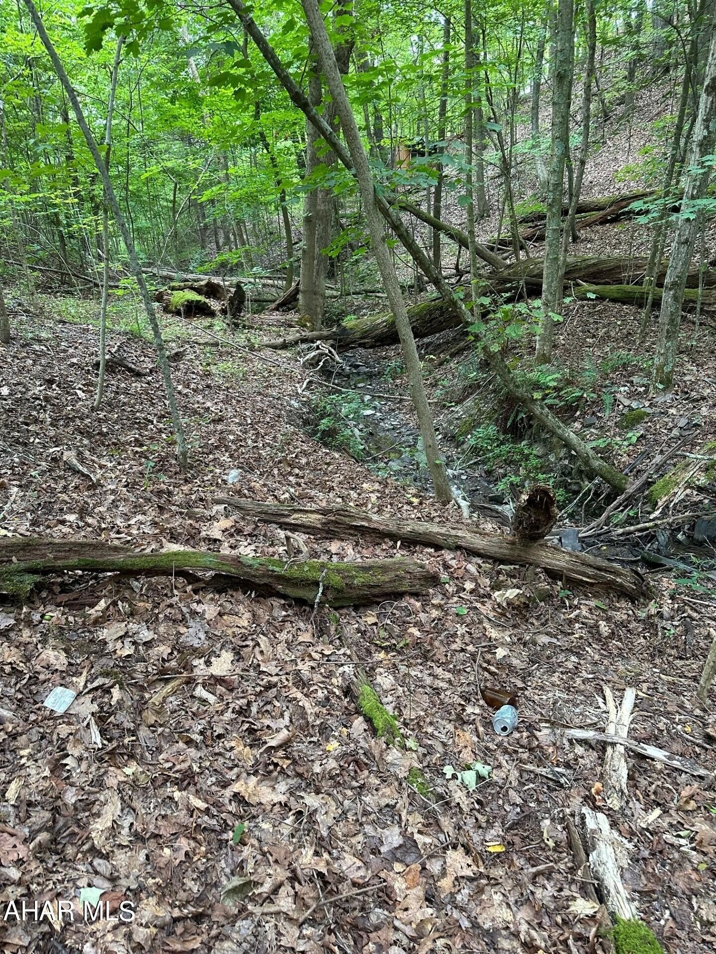 Hunting Land in New Paris