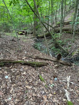 Hunting Land in New Paris