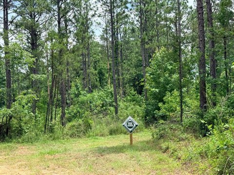 Secluded Timber Investment & Hunting Land