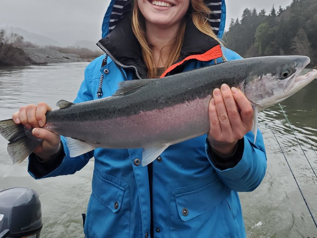Picture 34