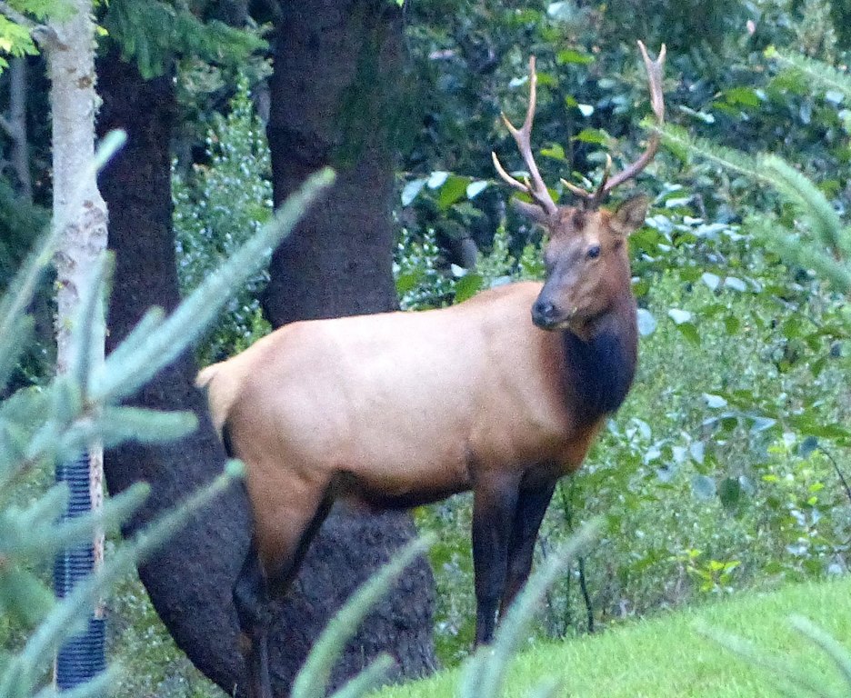 Picture 26