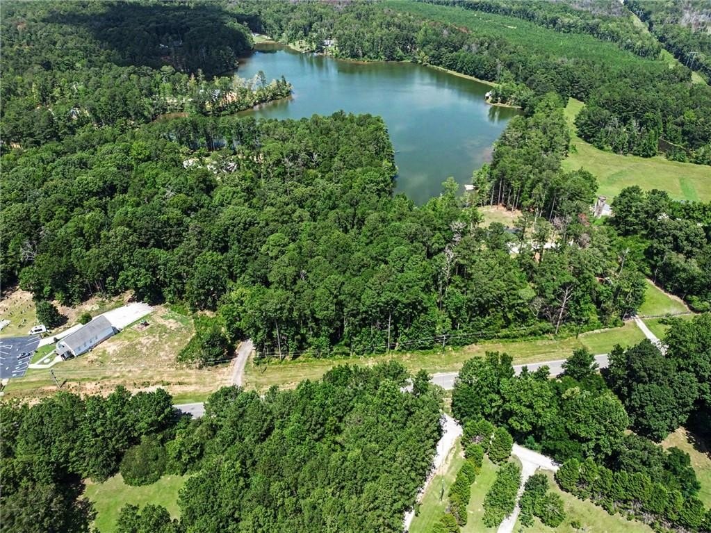 Picture 4