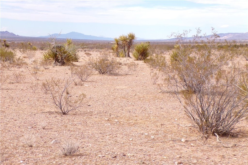 Picture 22