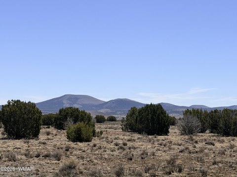 Vernon, AZ Land Parcel