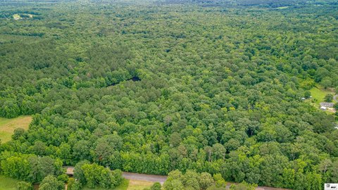 LAND - Downsville, LA