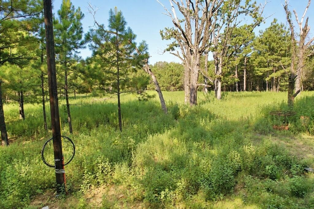 Picture 7