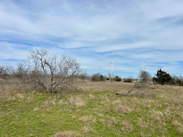 Picture 5
