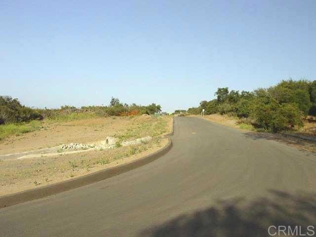 Picture 14