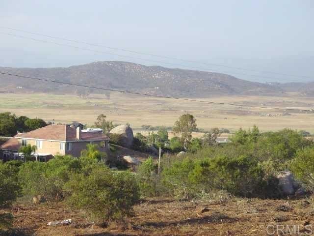 Picture 15