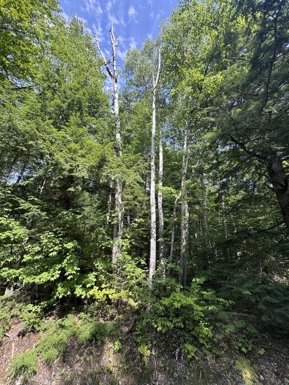 Picture 3