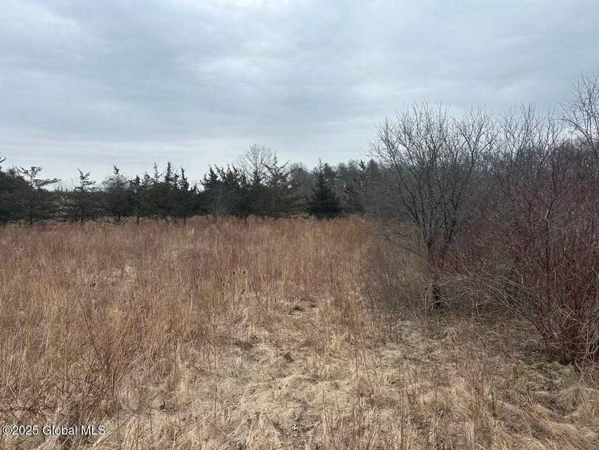 Scenic Land in Athens, NY