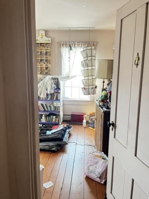 Picture 11
