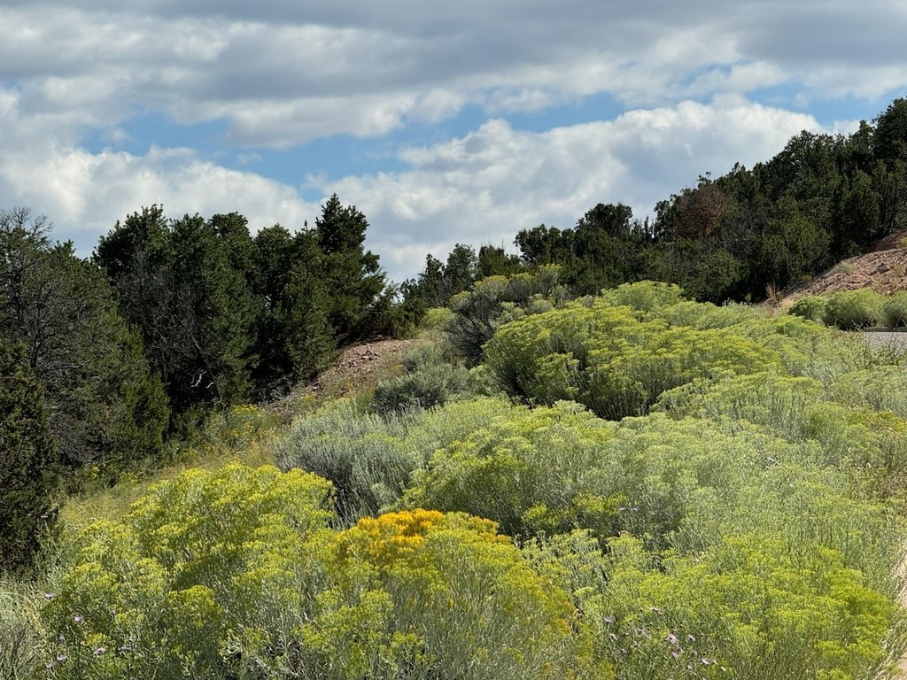 Picture 8