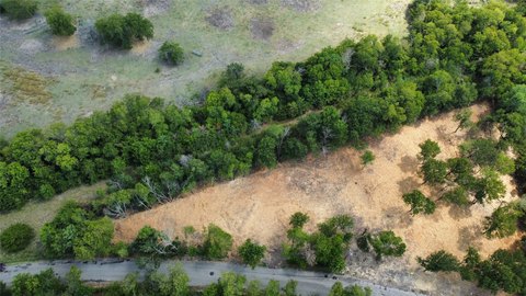 Caddo Mills Wooded Land Parcel