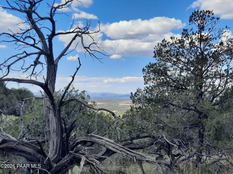 Land, Seligman, AZ