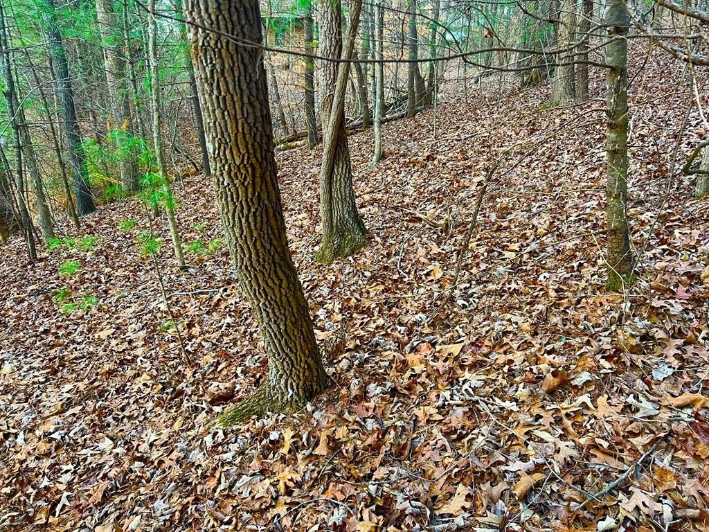 Picture 17