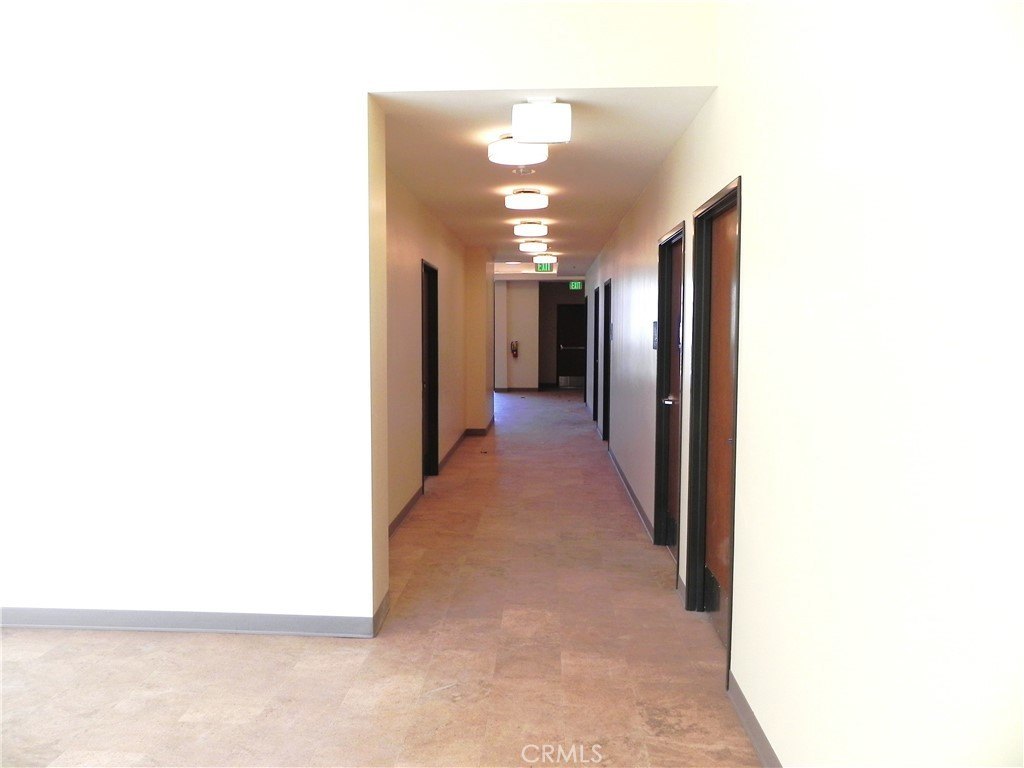 Picture 41