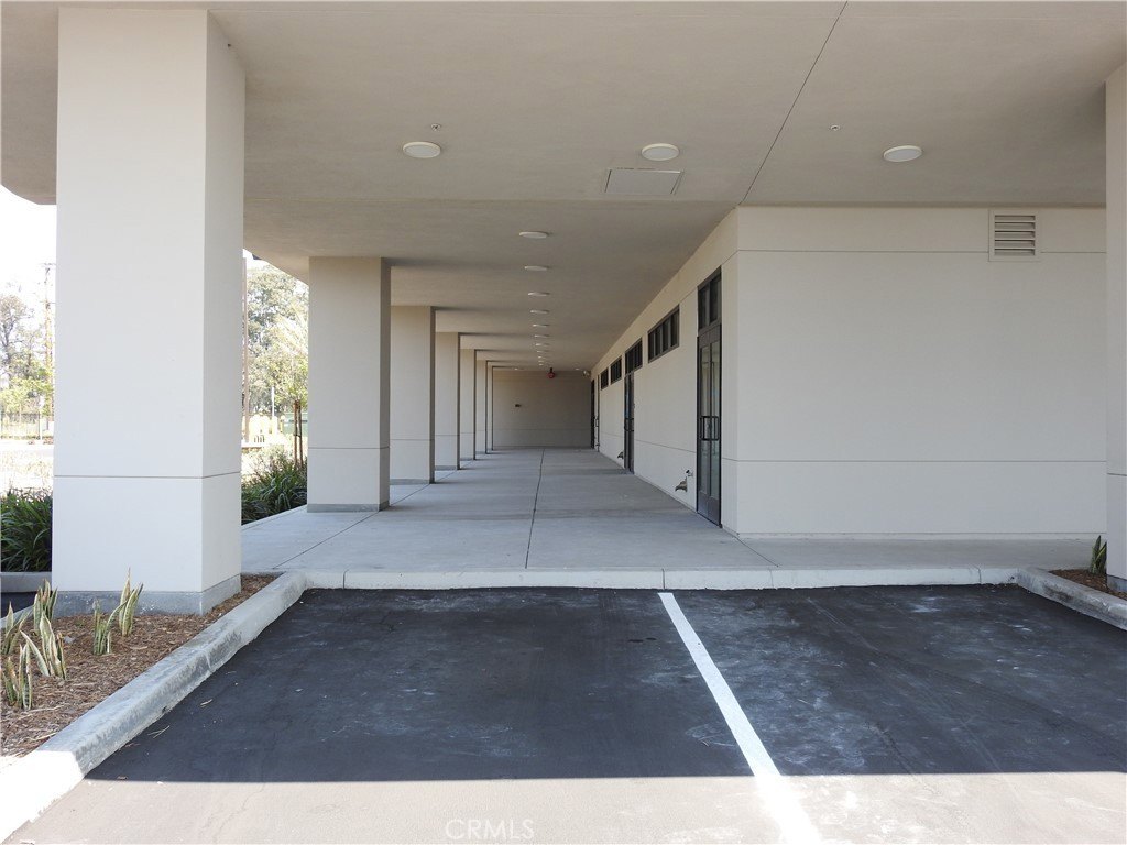 Picture 31