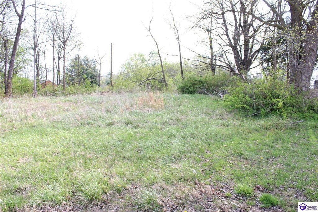 Picture 2