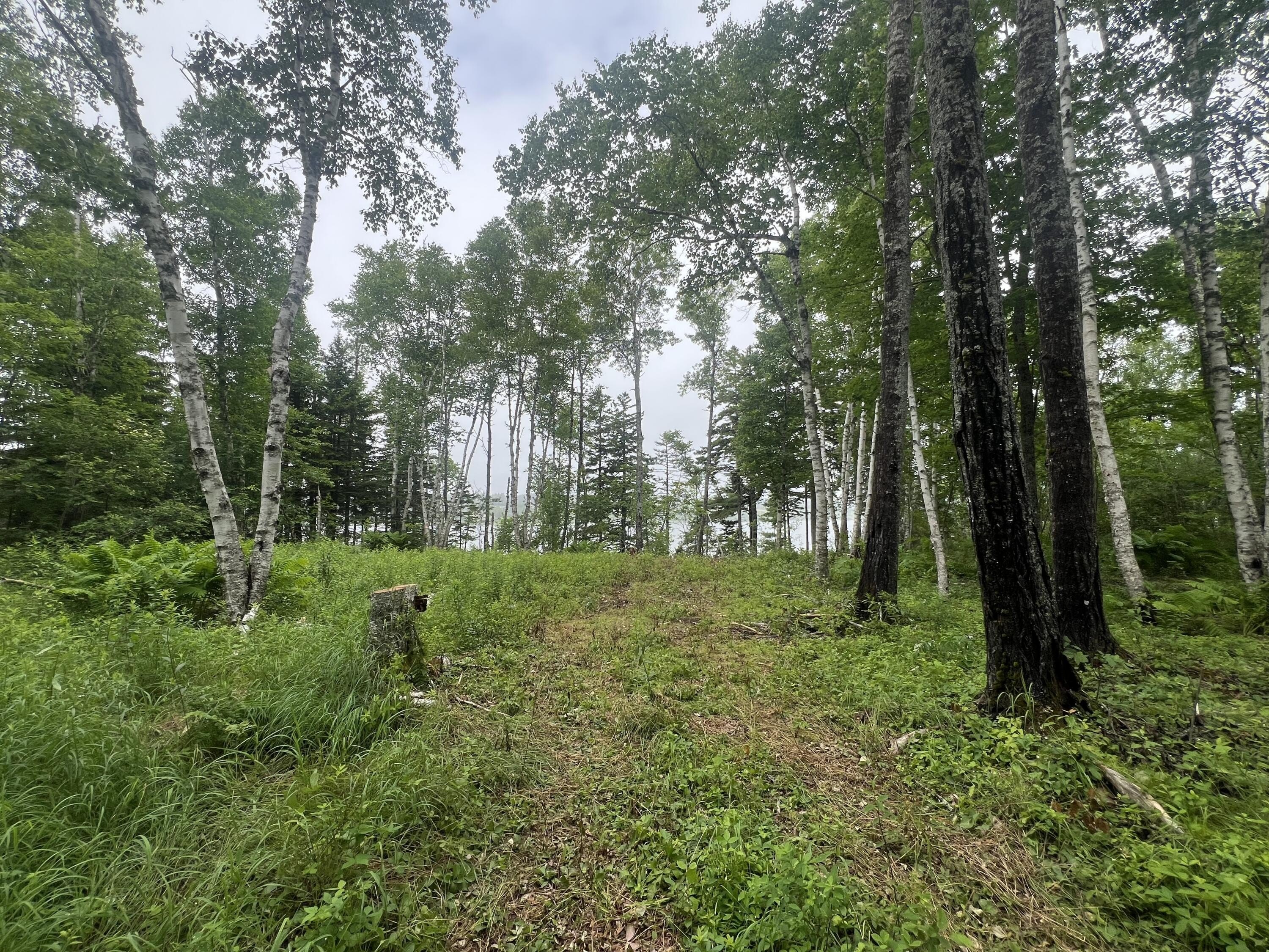 Waterfront Land with Owner Financing