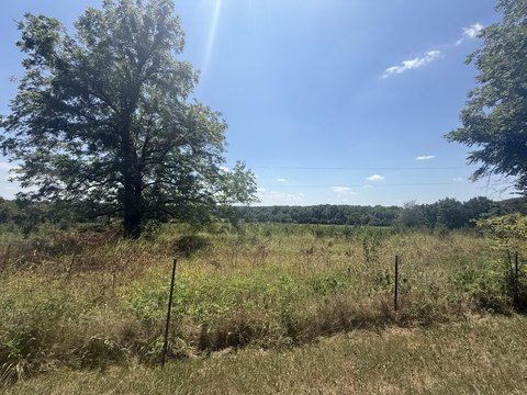 Land in Rogersville, Missouri