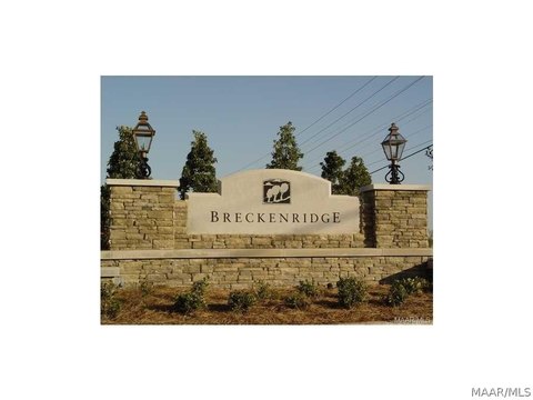 Residential Lot in Breckenridge