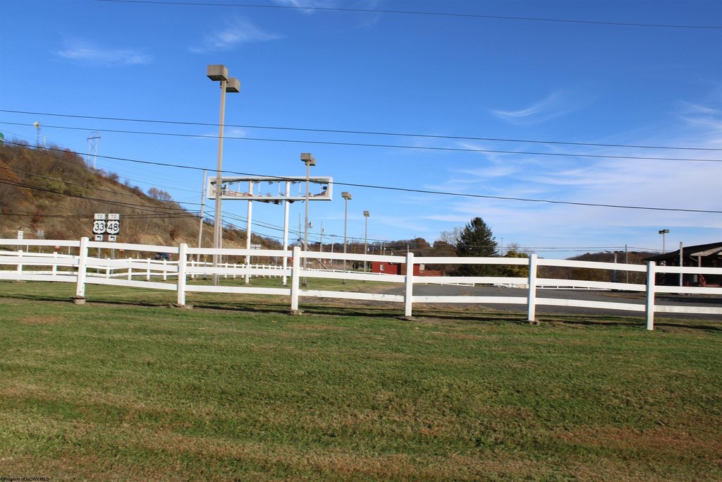 Picture 6